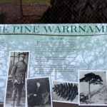 Lone Pine Sign